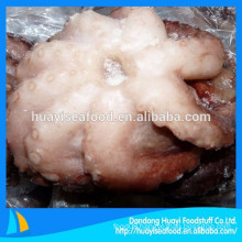 Chinese IQF frozen uncooked octopus